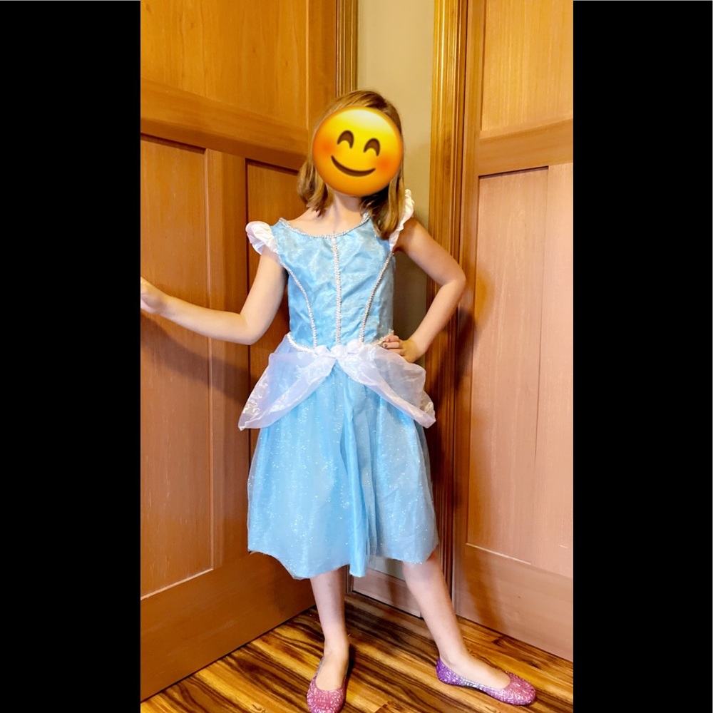 Cinderella Princess Dress Halloween Dressup